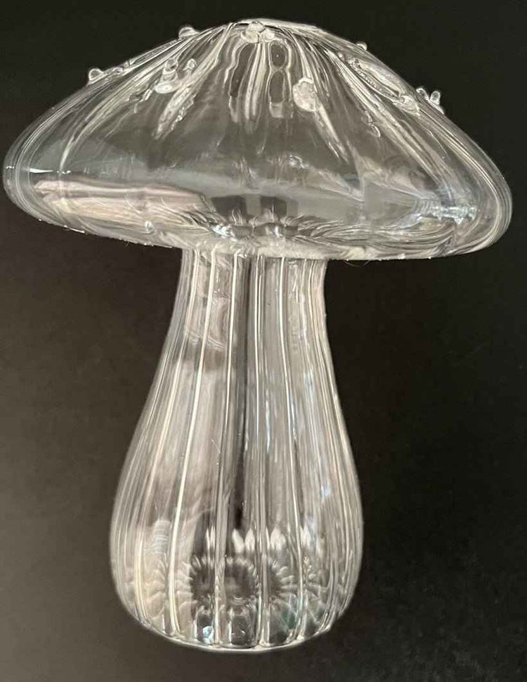 Glass Mushroom Vase for Aromatherapy & Hydroponic Flower Arrangements - Creative Home Decoration - NOVA TRENZ