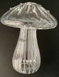 Glass Mushroom Vase for Aromatherapy & Hydroponic Flower Arrangements - Creative Home Decoration - NOVA TRENZ