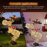 Lighted Skiing Reindeer Ornament with LED for Festive Christmas Lawn and Tree Decor - NOVA TRENZ