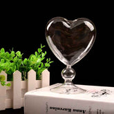 Transparent Love Vase Hydroponic Flower Device for Home Decoration and Flower Arrangement Craft - NOVA TRENZ